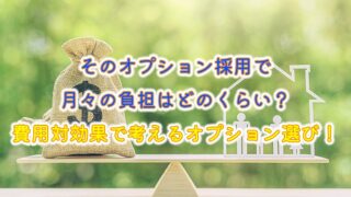 そのオプション採用で月々の負担はどのくらい？費用対効果で考えるオプション選び！