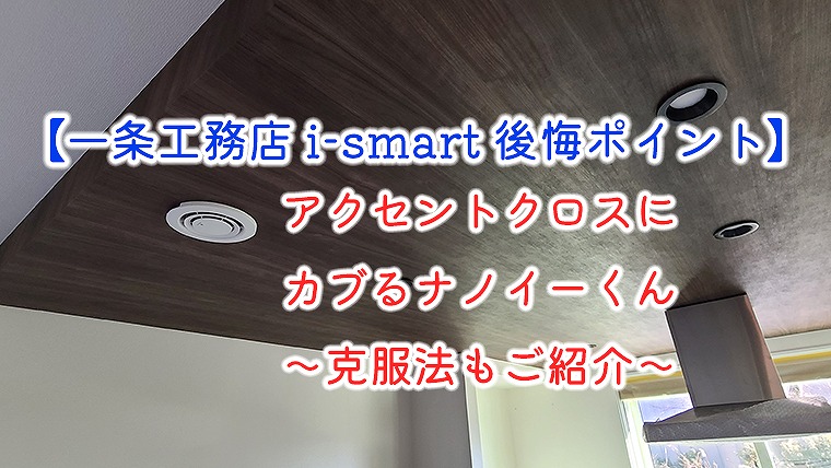 【一条工務店 i-smart 後悔ポイント】アクセントクロスにカブるナノイーくん～克服法もご紹介～